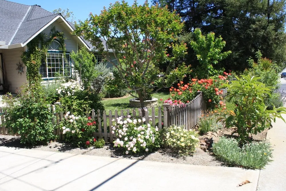 Top-rated residential landscaping experts serving Los Altos, CA - Martinez & Smith Landscaping