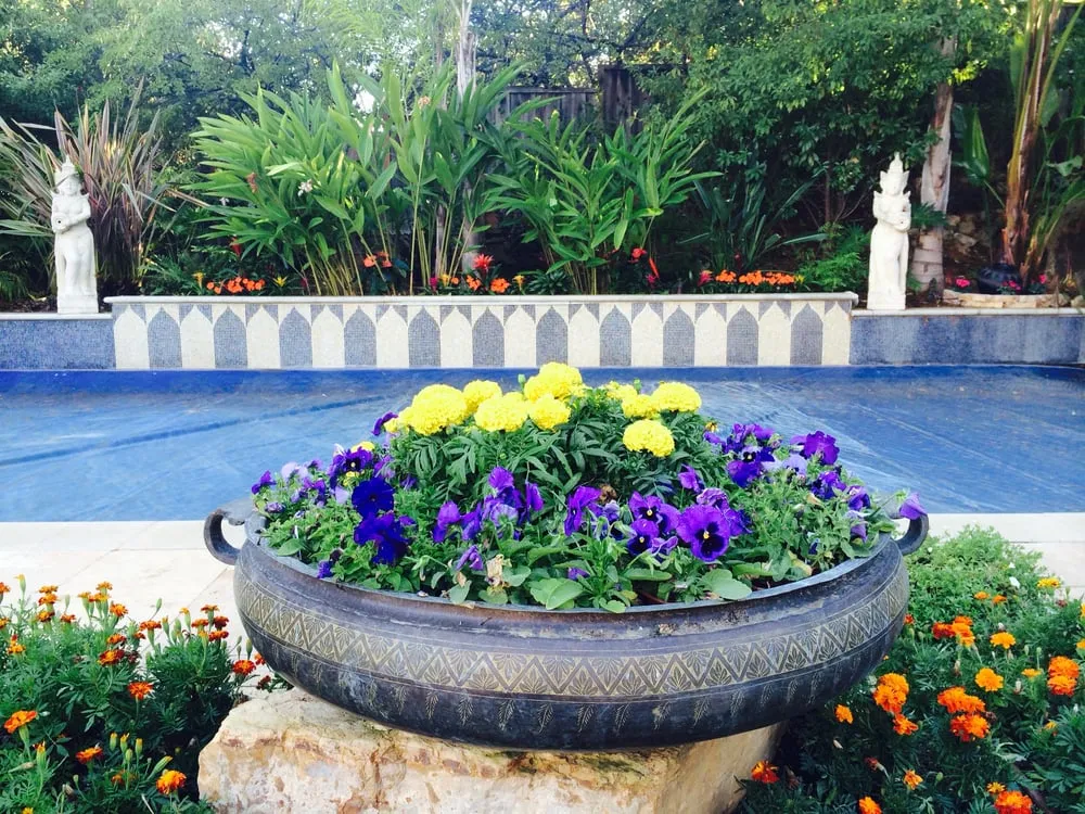 Trusted yard cleanup service in Los Altos, CA - Martinez & Smith Landscaping