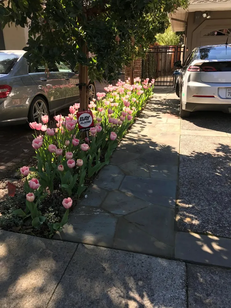Top-rated yard maintenance for beautiful yards across Los Altos, CA - Martinez & Smith Landscaping
