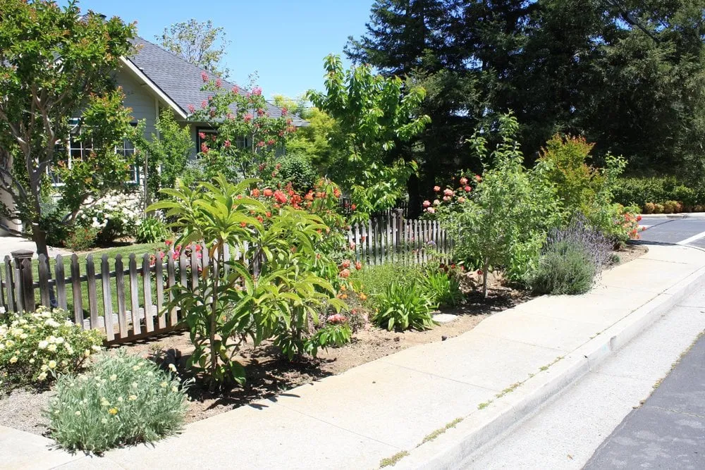 Local yard maintenance for outdoor upgrades across Los Altos, CA - Martinez & Smith Landscaping