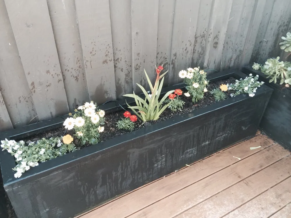 Expert lawn care service in Los Altos, CA by Martinez & Smith Landscaping