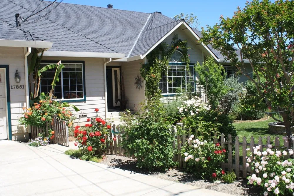 Expert yard cleanup service experts serving Los Altos, CA - Martinez & Smith Landscaping