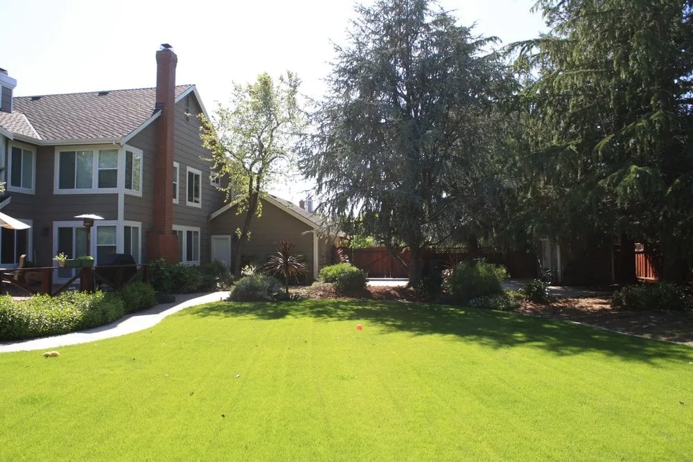 Top-rated lawn care service experts serving Los Altos, CA - Martinez & Smith Landscaping