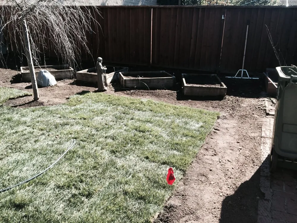 Expert lawn care service experts serving Los Altos, CA - Martinez & Smith Landscaping