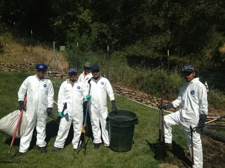 Affordable residential landscaping experts serving Los Altos, CA - Martinez & Smith Landscaping