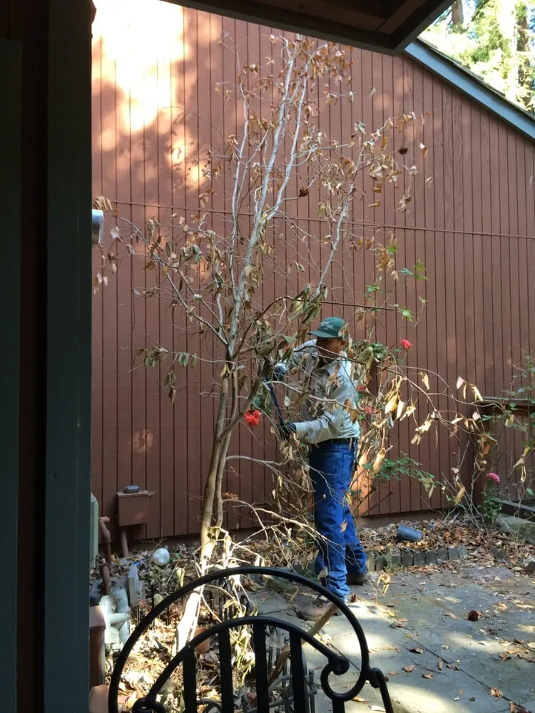 Reliable landscape design for beautiful yards across Los Altos, CA - Martinez & Smith Landscaping