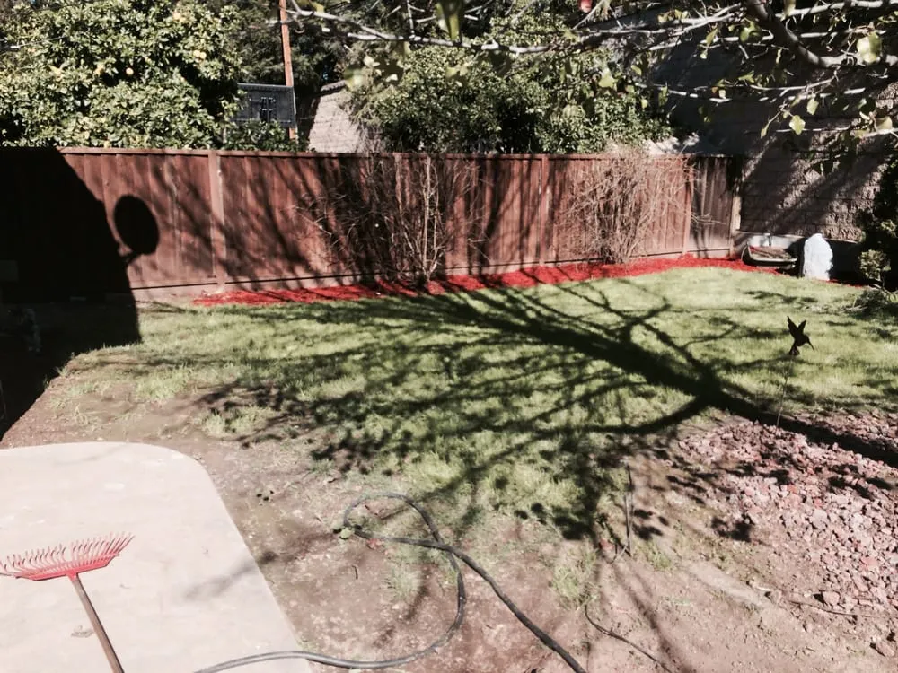 Professional landscape installation in Los Altos, CA by Martinez & Smith Landscaping