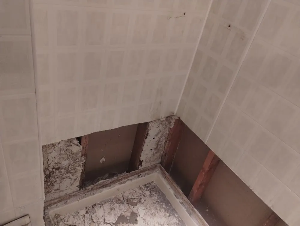 Expert yard cleanup service with custom design in Northglenn, CO by Martinez & Sons