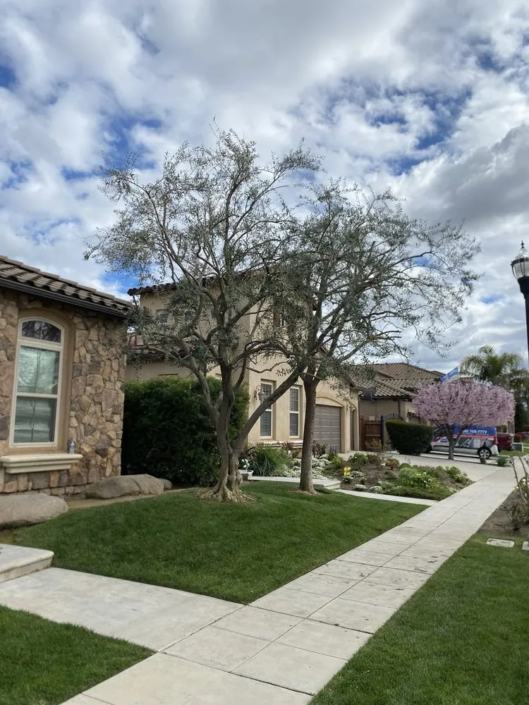 Reliable outdoor landscaping in Fresno, CA by Martinez 217 Lawn Service & Custom Landscape