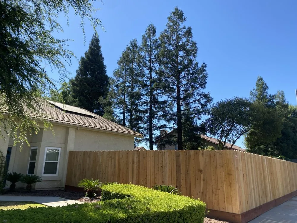 Expert yard maintenance in Fresno, CA by Martinez 217 Lawn Service & Custom Landscape