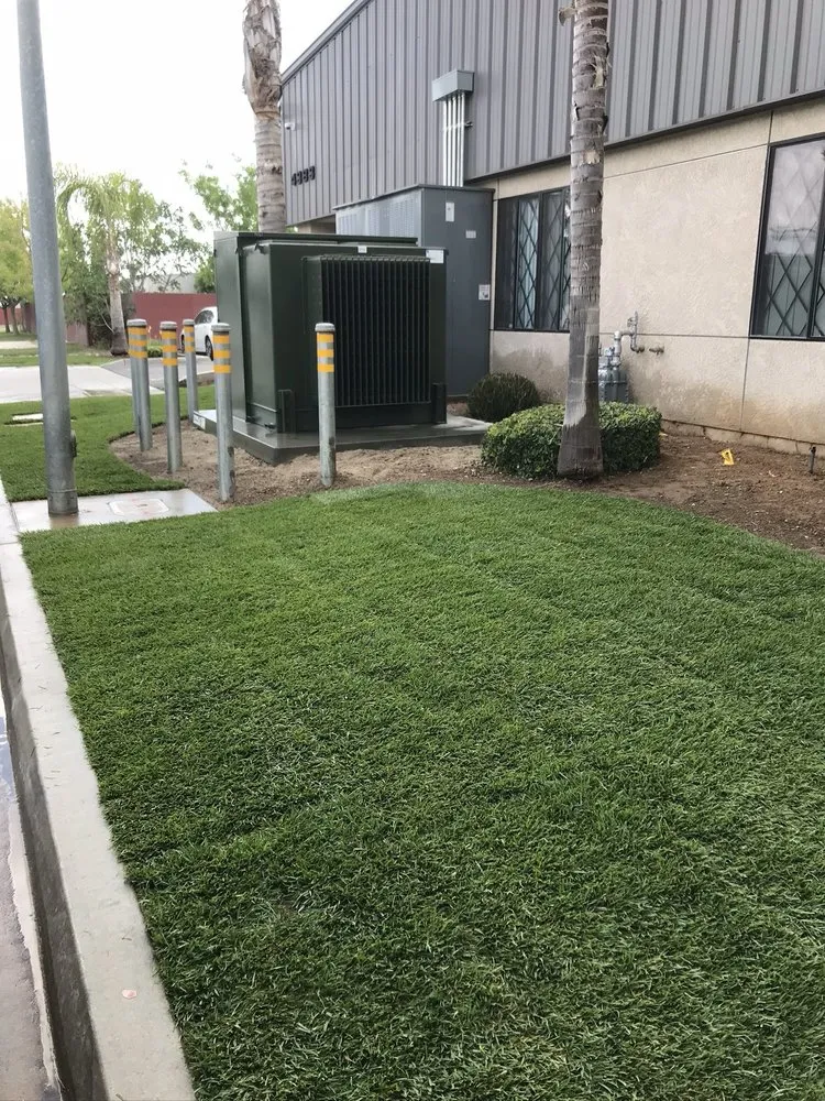 Professional outdoor landscaping near you across Fresno, CA - Martinez 217 Lawn Service & Custom Landscape