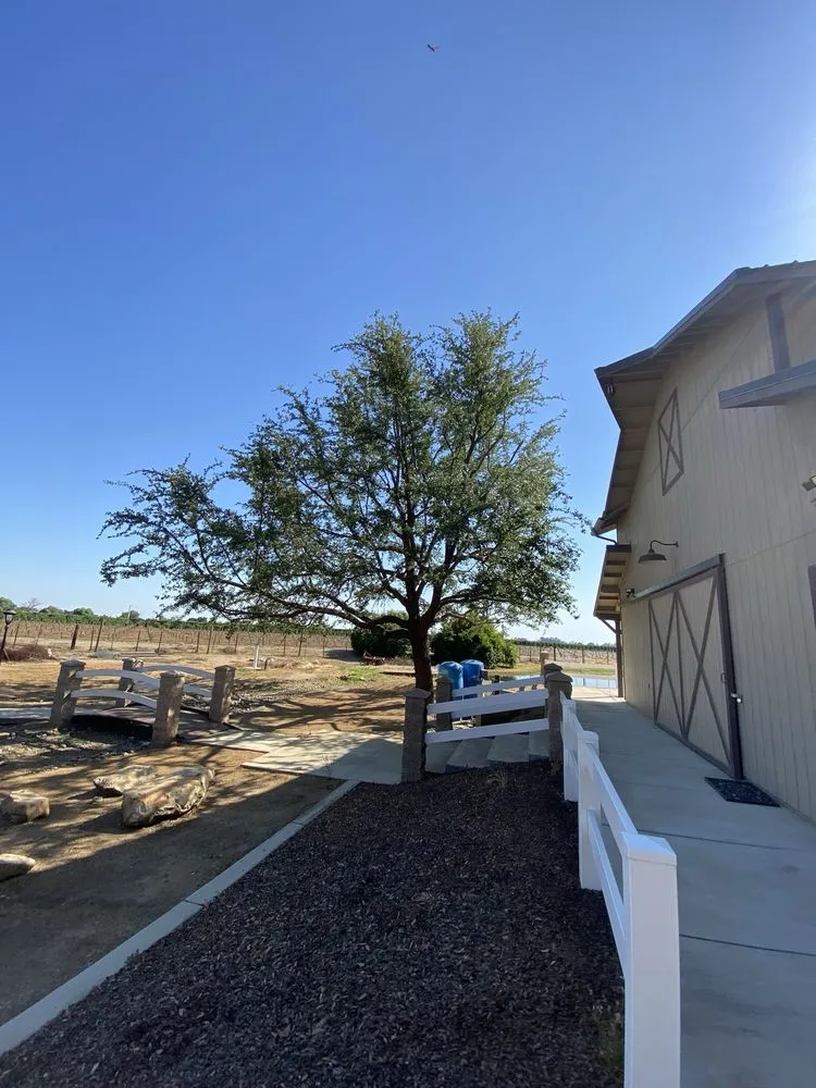 Professional landscape design with custom design in Fresno, CA by Martinez 217 Lawn Service & Custom Landscape