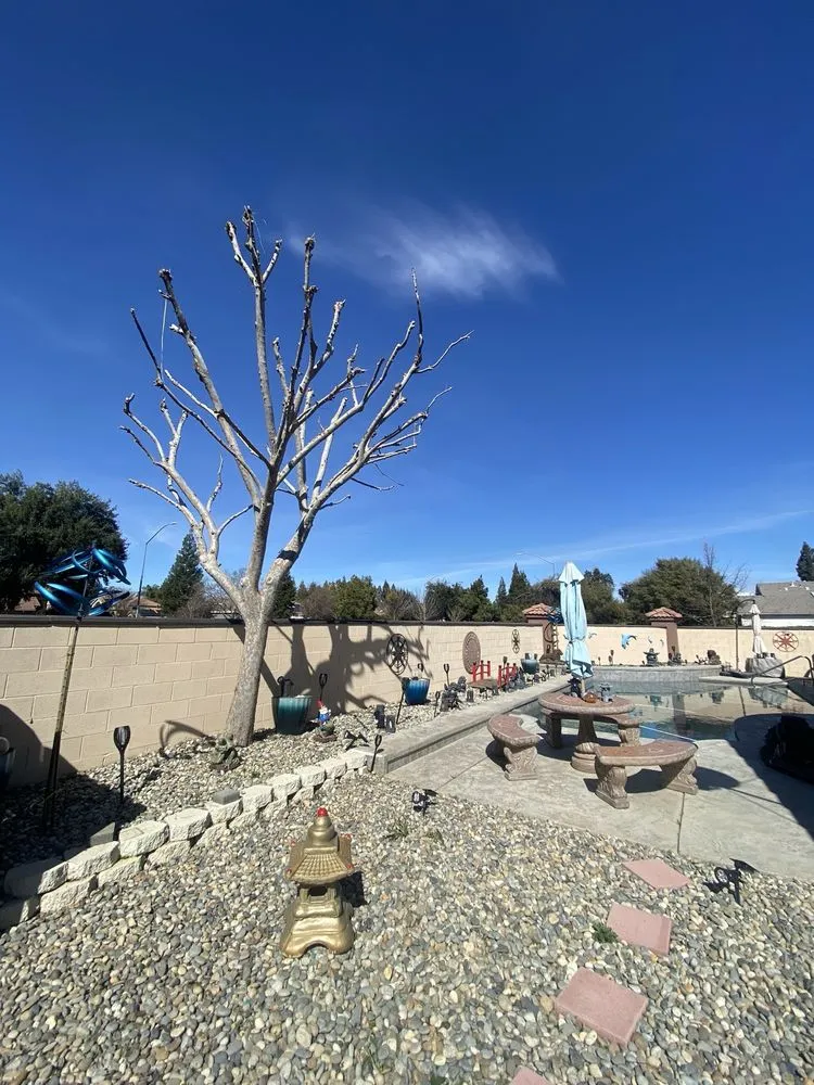 Reliable lawn mowing service in Fresno, CA by Martinez 217 Lawn Service & Custom Landscape