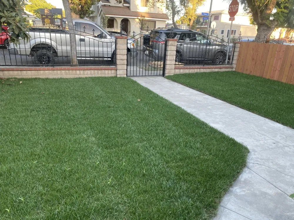 Local yard maintenance experts serving Downey, CA - Martinez Always Green Landscape