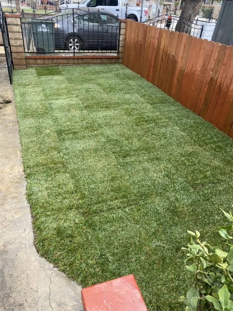 Trusted lawn mowing service experts serving Downey, CA - Martinez Always Green Landscape