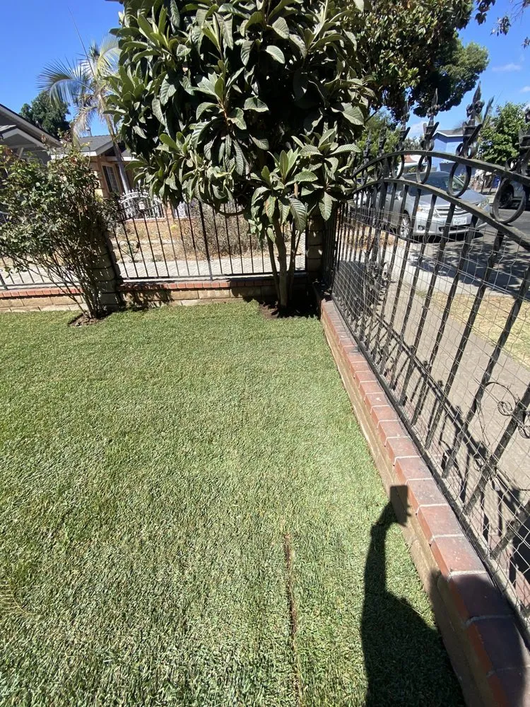 Custom yard cleanup service experts serving Downey, CA - Martinez Always Green Landscape