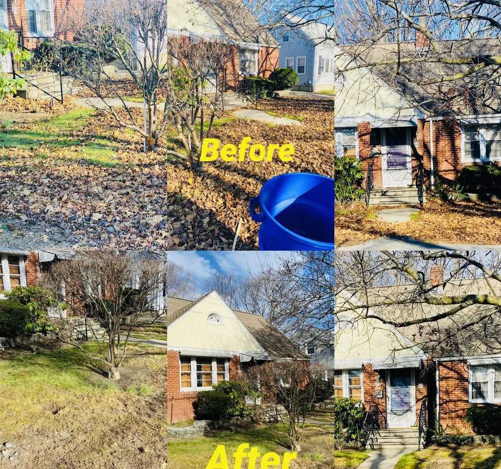 Reliable landscaping services with custom design across Cranston, RI - Martinez Backyard Services