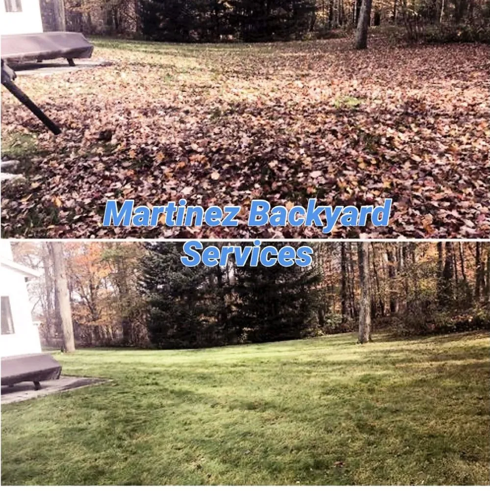 Expert landscape design for year-round maintenance across Cranston, RI - Martinez Backyard Services