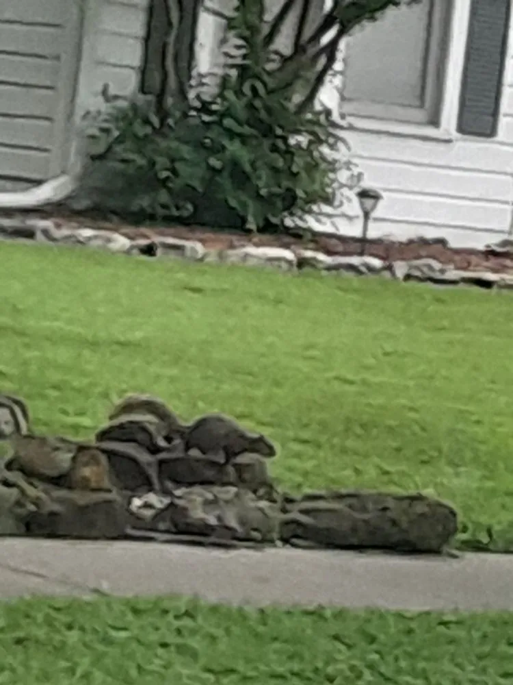 Top-rated garden landscaping in Corsicana, TX - Martinez bros.