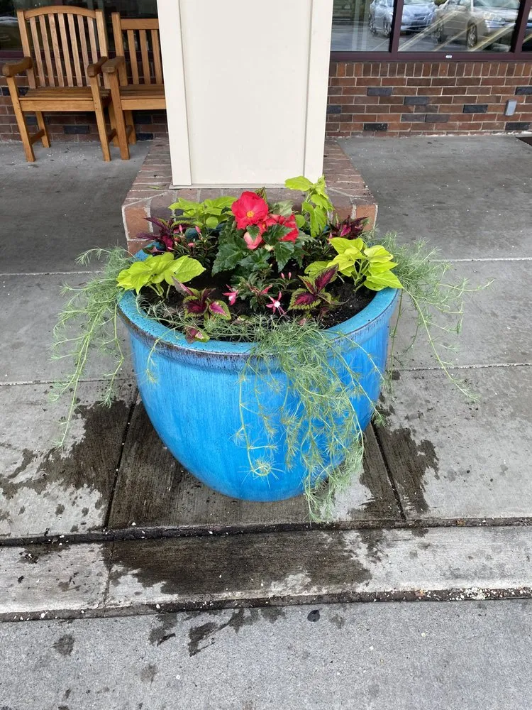 Reliable yard cleanup service experts serving Airway Heights, WA - Martinez Bros Landscape & Maintenance