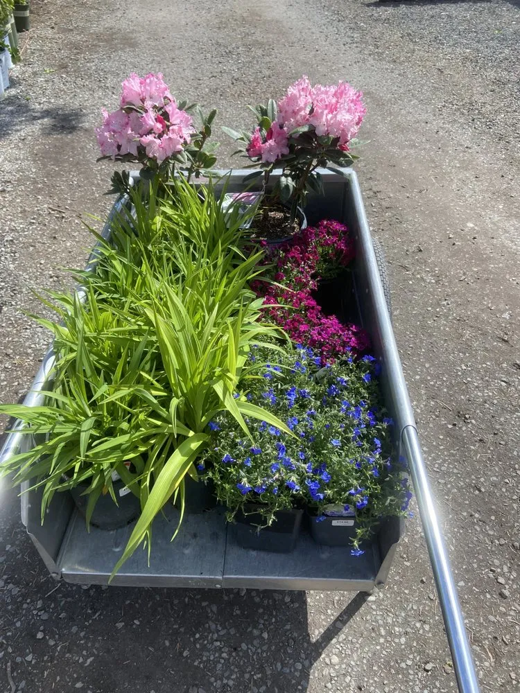 Reliable lawn care service experts serving Airway Heights, WA - Martinez Bros Landscape & Maintenance