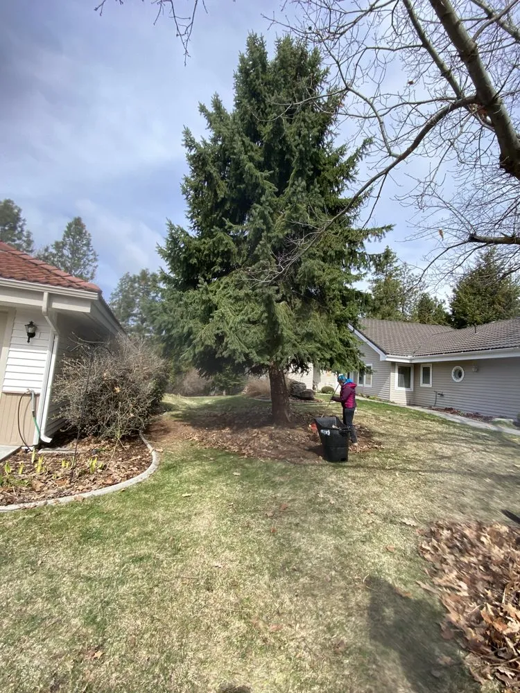 Reliable lawn mowing service in Airway Heights, WA by Martinez Bros Landscape & Maintenance