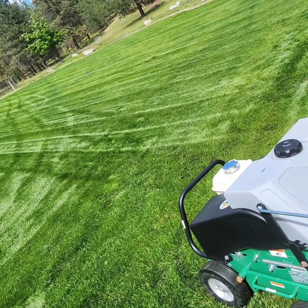 Custom yard cleanup service in Airway Heights, WA by Martinez Bros Landscape & Maintenance