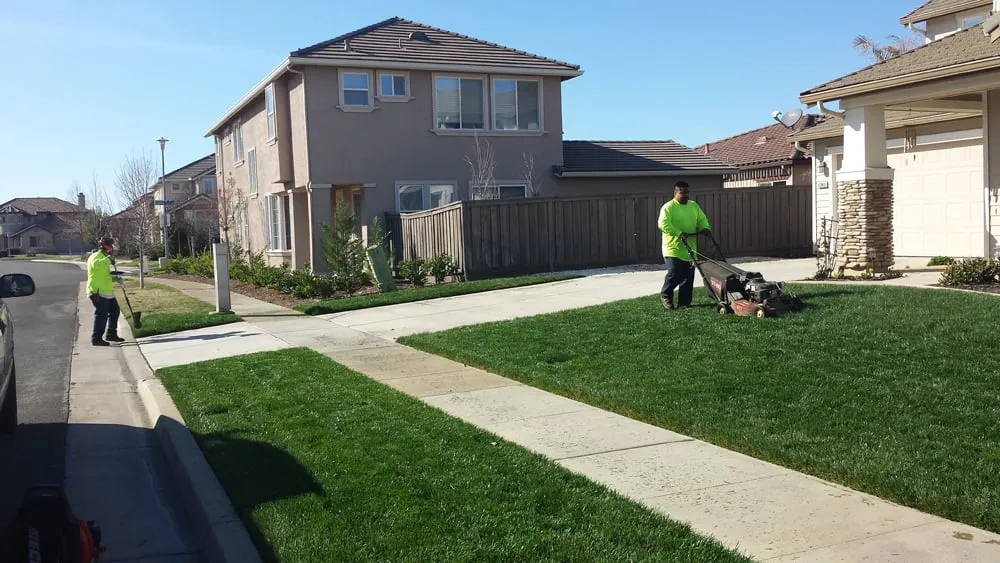 Custom lawn care service in Sacramento, CA - Martinez Bros. Landscape