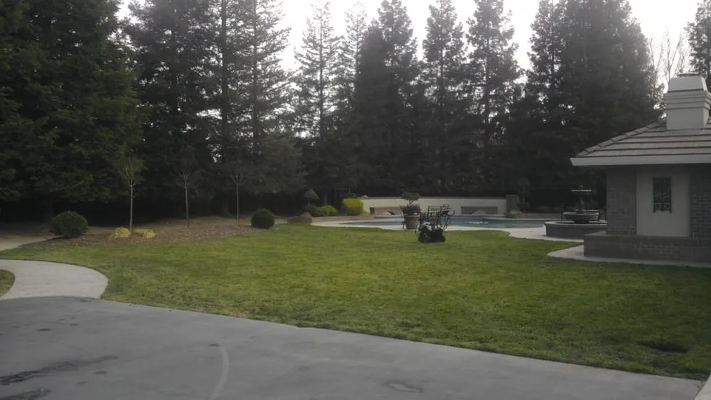 Expert yard cleanup service in Sacramento, CA by Martinez Bros. Landscape