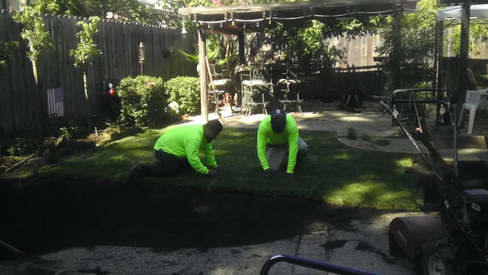 Expert lawn care service experts serving Sacramento, CA - Martinez Bros. Landscape