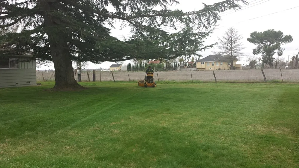 Professional lawn care service experts serving Sacramento, CA - Martinez Bros. Landscape