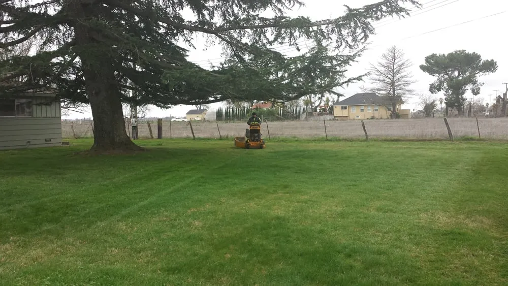 Affordable yard cleanup service with custom design in Sacramento, CA by Martinez Bros. Landscape