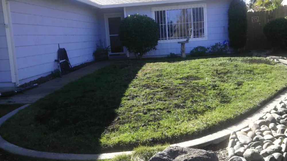 Top-rated lawn care service for outdoor upgrades across Sacramento, CA - Martinez Bros. Landscape