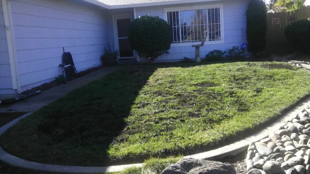 Expert landscaping services for residential properties across Sacramento, CA - Martinez Bros. Landscape