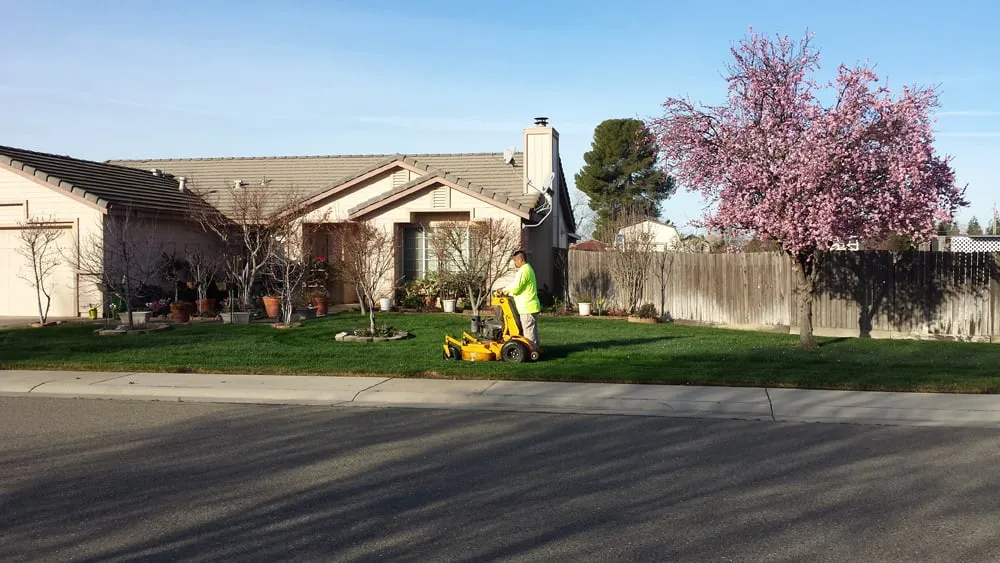 Expert lawn mowing service in Sacramento, CA - Martinez Bros. Landscape