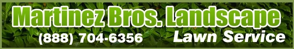 Top-rated landscape design for year-round maintenance across Sacramento, CA - Martinez Bros. Landscape