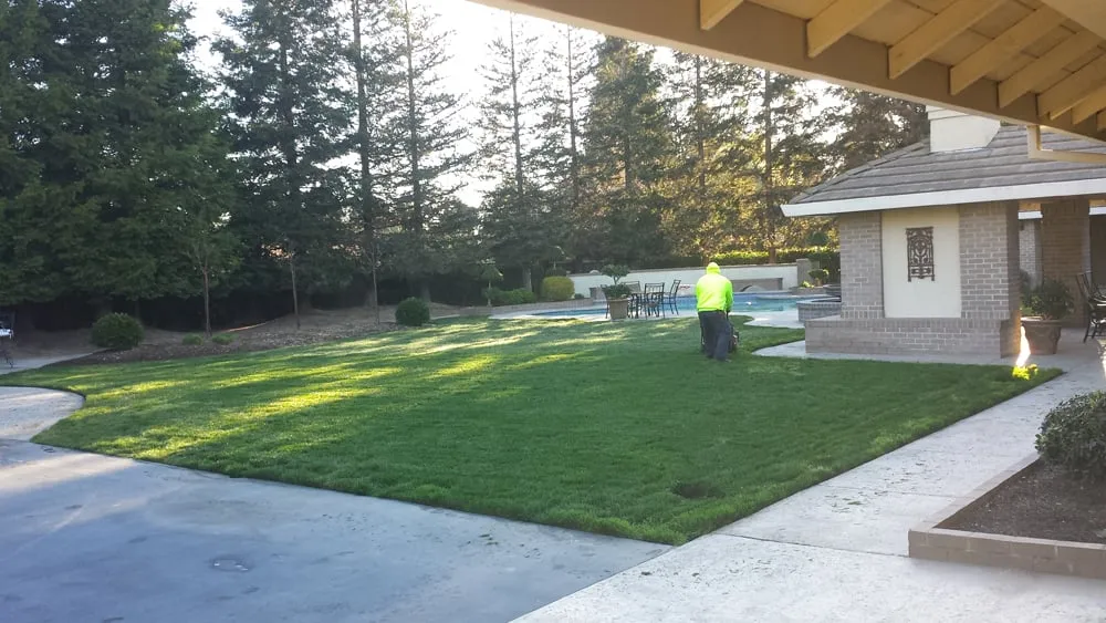 Local yard cleanup service in Sacramento, CA - Martinez Bros. Landscape