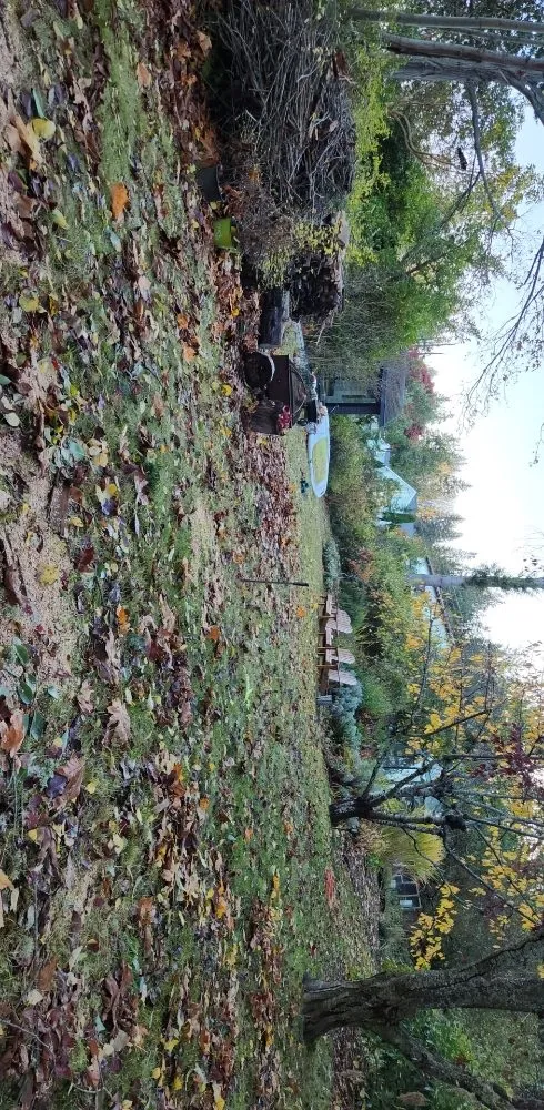 Expert landscaping services in Mount Vernon, WA - Martinez Bros