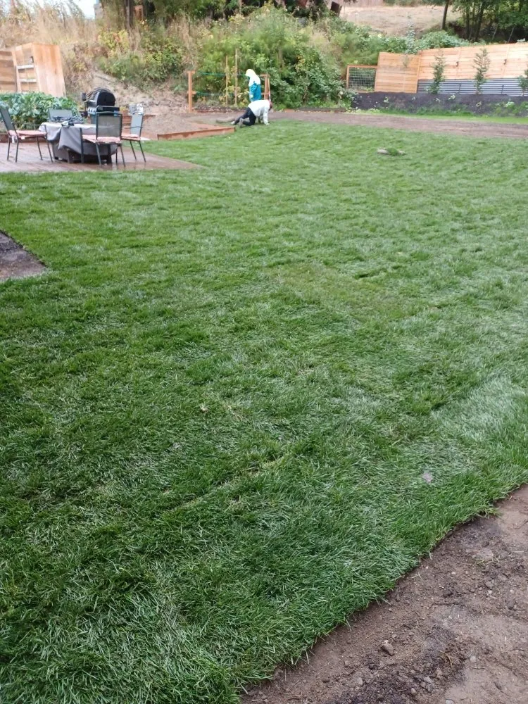 Expert landscape installation in Mount Vernon, WA - Martinez Bros