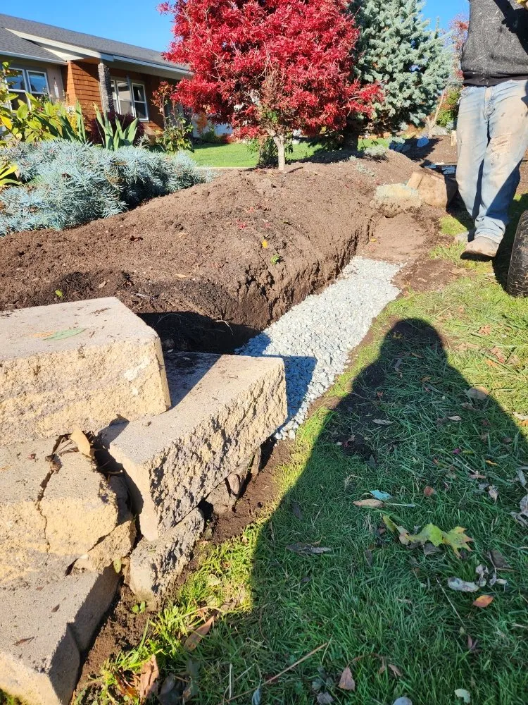 Expert yard maintenance near you across Mount Vernon, WA - Martinez Bros