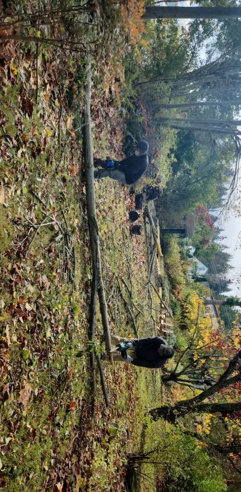 Affordable landscape installation for homes in Mount Vernon, WA by Martinez Bros