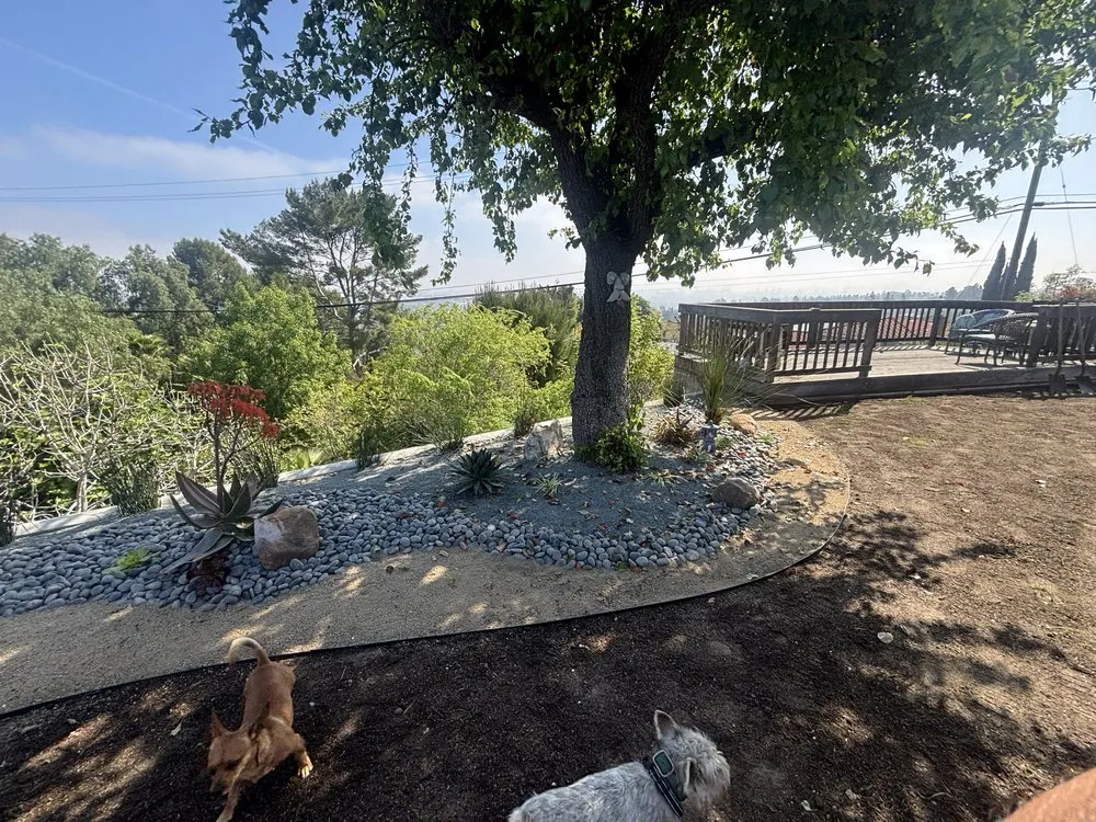 Custom lawn mowing service in Carson, CA by Martinez Brothers