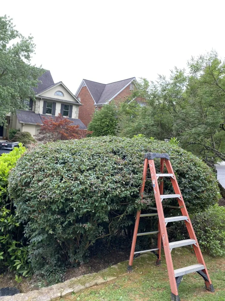 Custom lawn care service in Atlanta, GA - Martinez Brothers Landscape