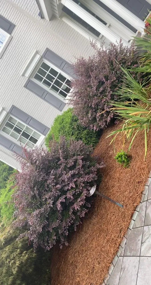 Reliable landscape installation in Atlanta, GA - Martinez Brothers Landscape