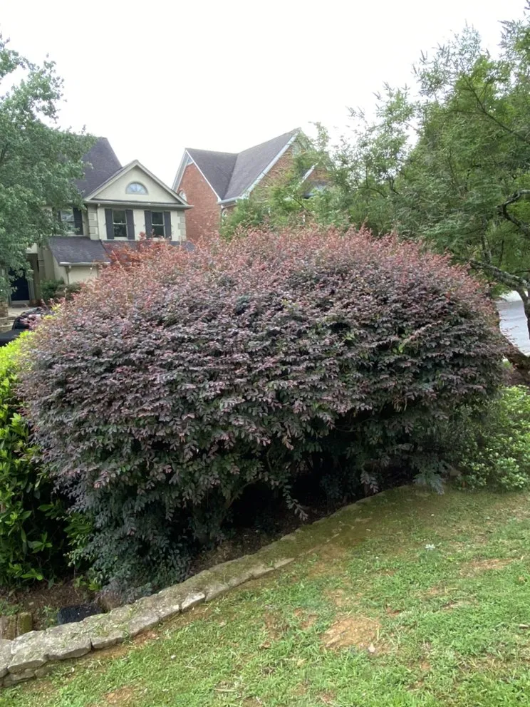 Expert landscape design experts serving Atlanta, GA - Martinez Brothers Landscape