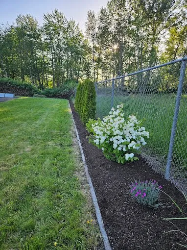 Affordable lawn care service for year-round maintenance in Tacoma, WA by Martinez Brothers Landscaping