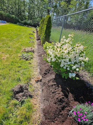 Trusted yard cleanup service in Tacoma, WA by Martinez Brothers Landscaping