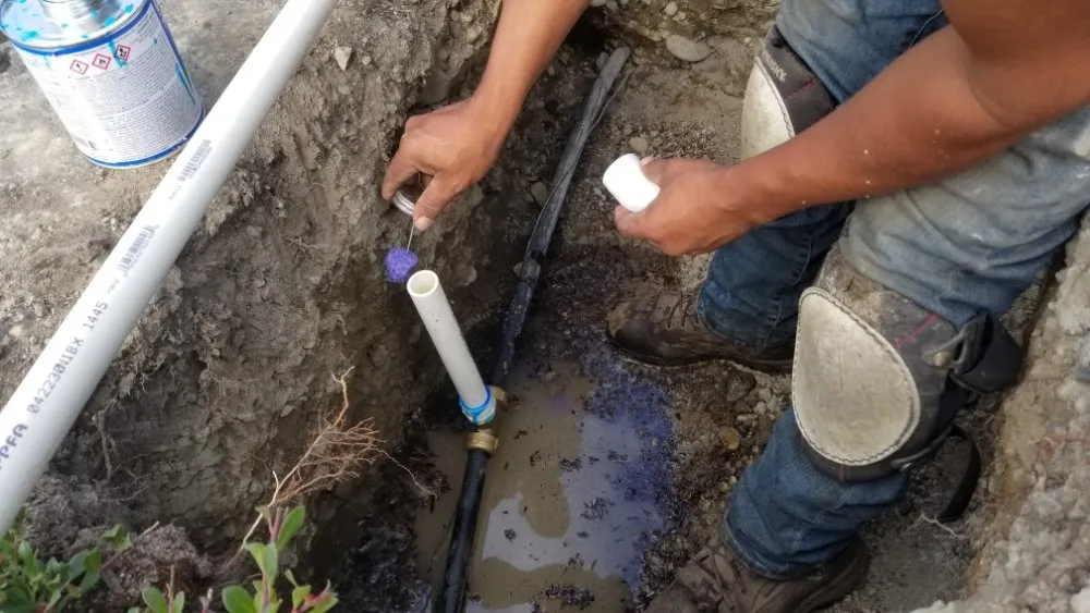 Affordable yard maintenance in Tacoma, WA by Martinez Brothers Landscaping