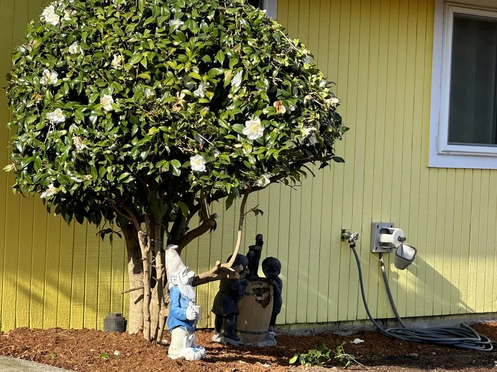 Expert garden landscaping near you across Tacoma, WA - Martinez Brothers Landscaping