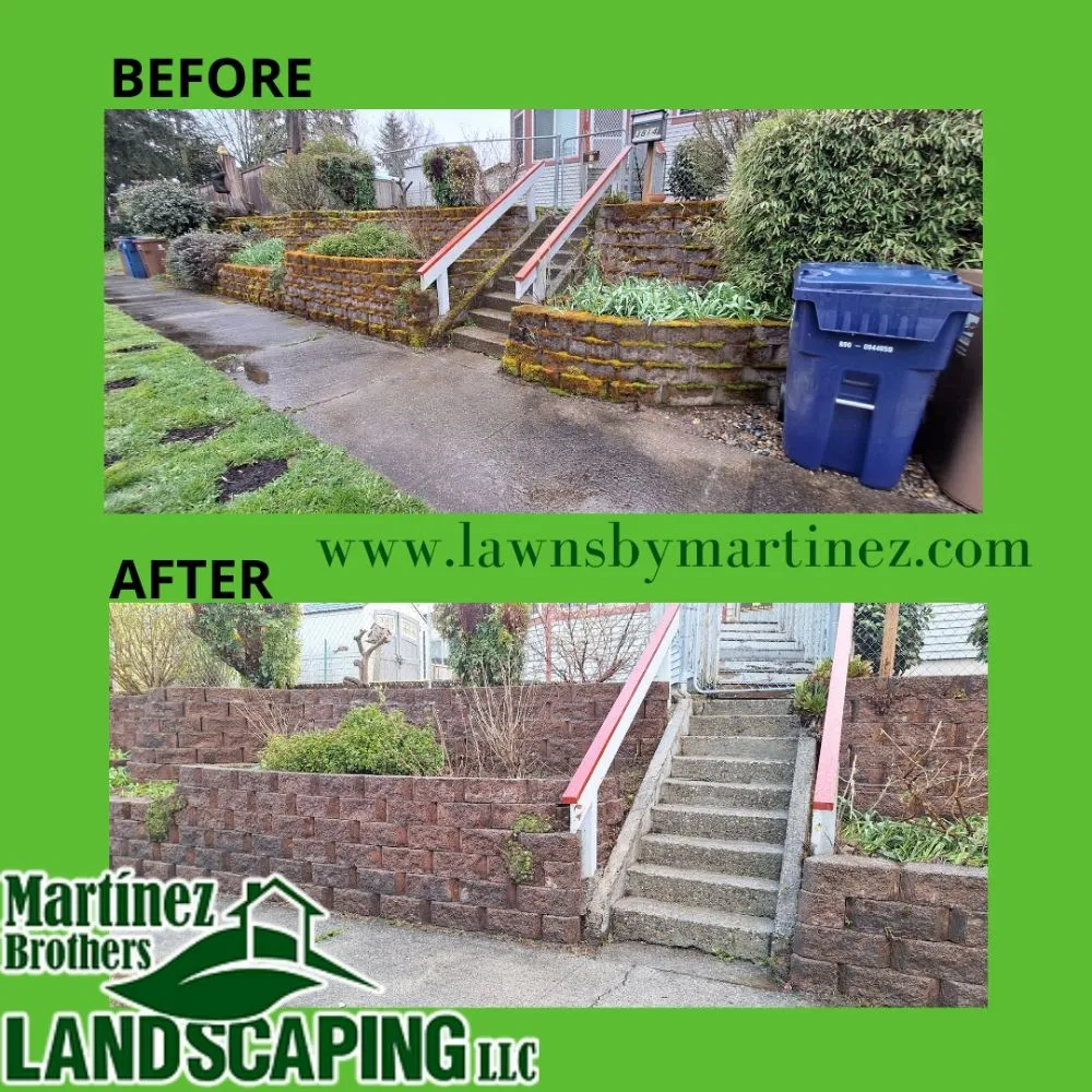 Expert lawn care service with custom design in Tacoma, WA by Martinez Brothers Landscaping